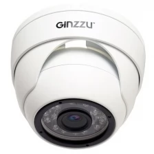 IP камера Ginzzu HID-5301A