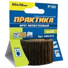 Практика Круг лепестковый с оправкой 60x30мм, P180, 649-073 .